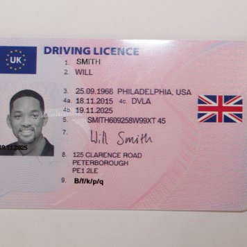 fake irish drivers license